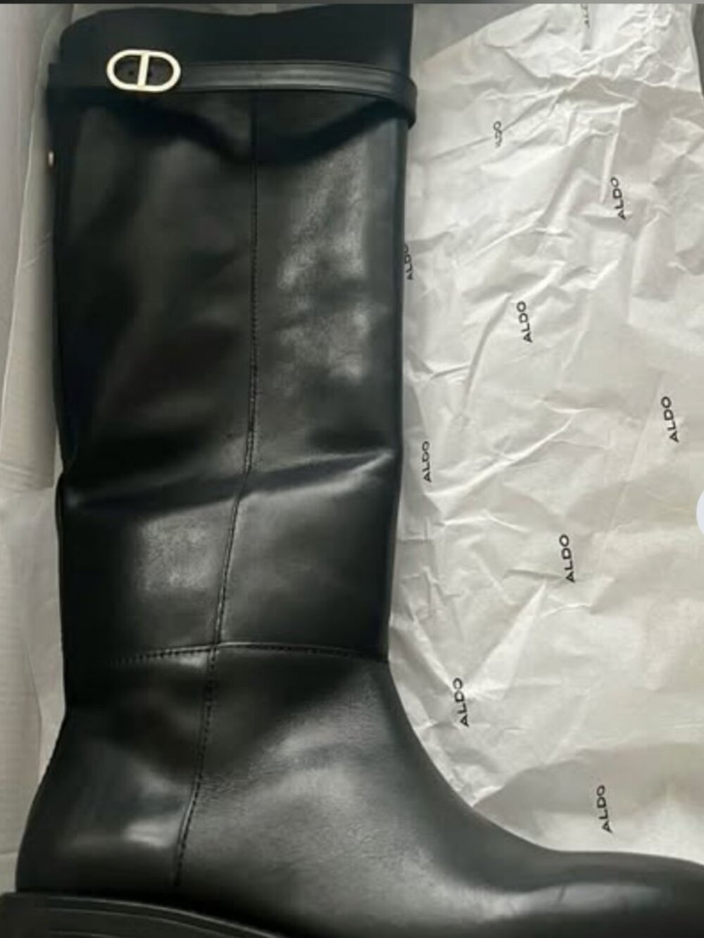 Loreina ALDO Boots Black